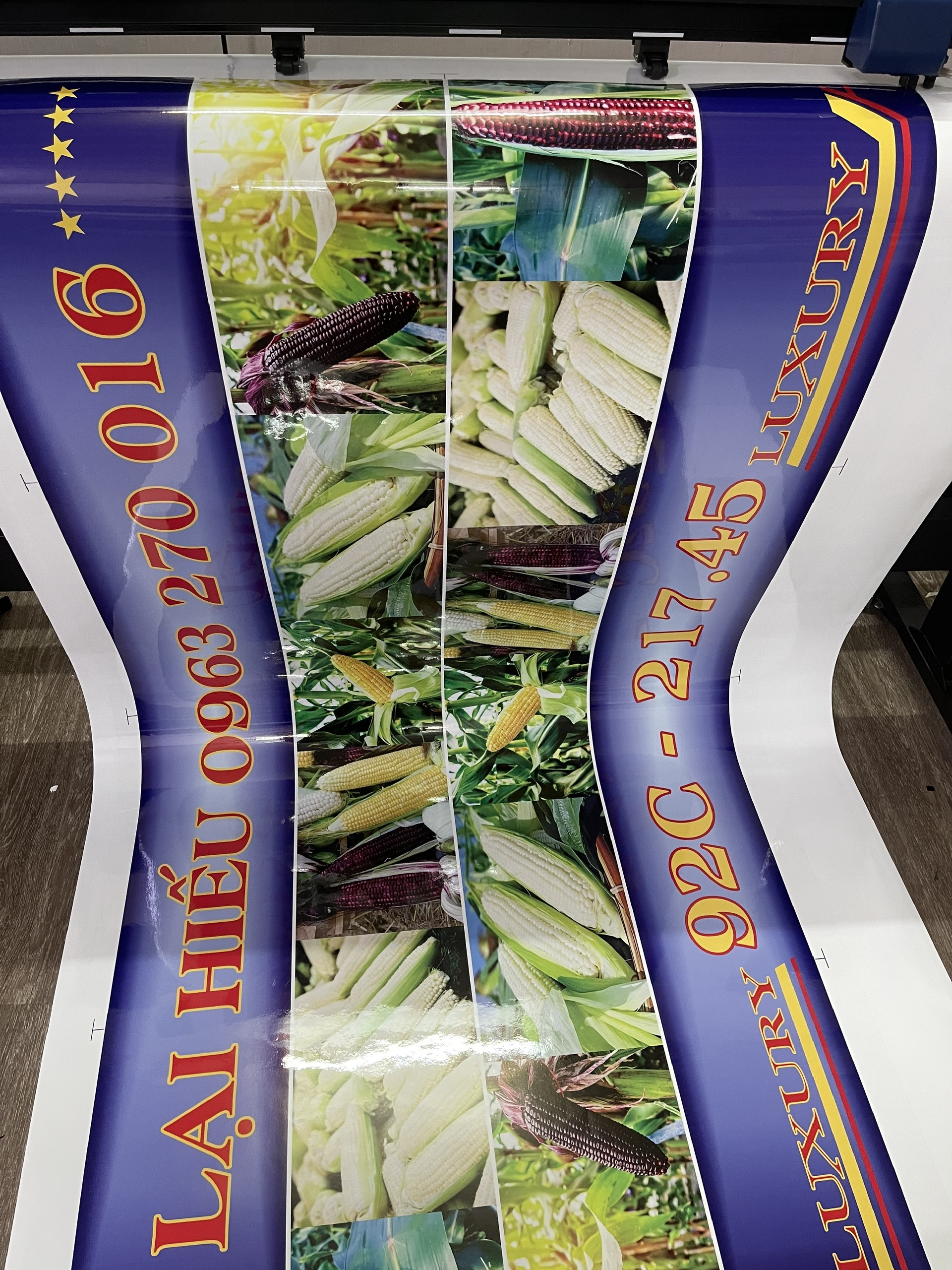 Z5900679401625 D6d974c04d865ca3427aa6cca9a57e99