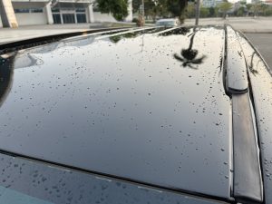 Z5926898176324 B9fd0cc4b37ab1d6bacbf9ce22a1702c