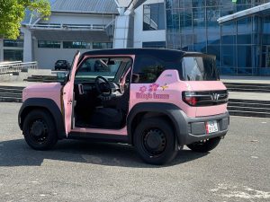 Z6098282830286 Bcf11890c67ecdc4fd8b8d409ba4989f