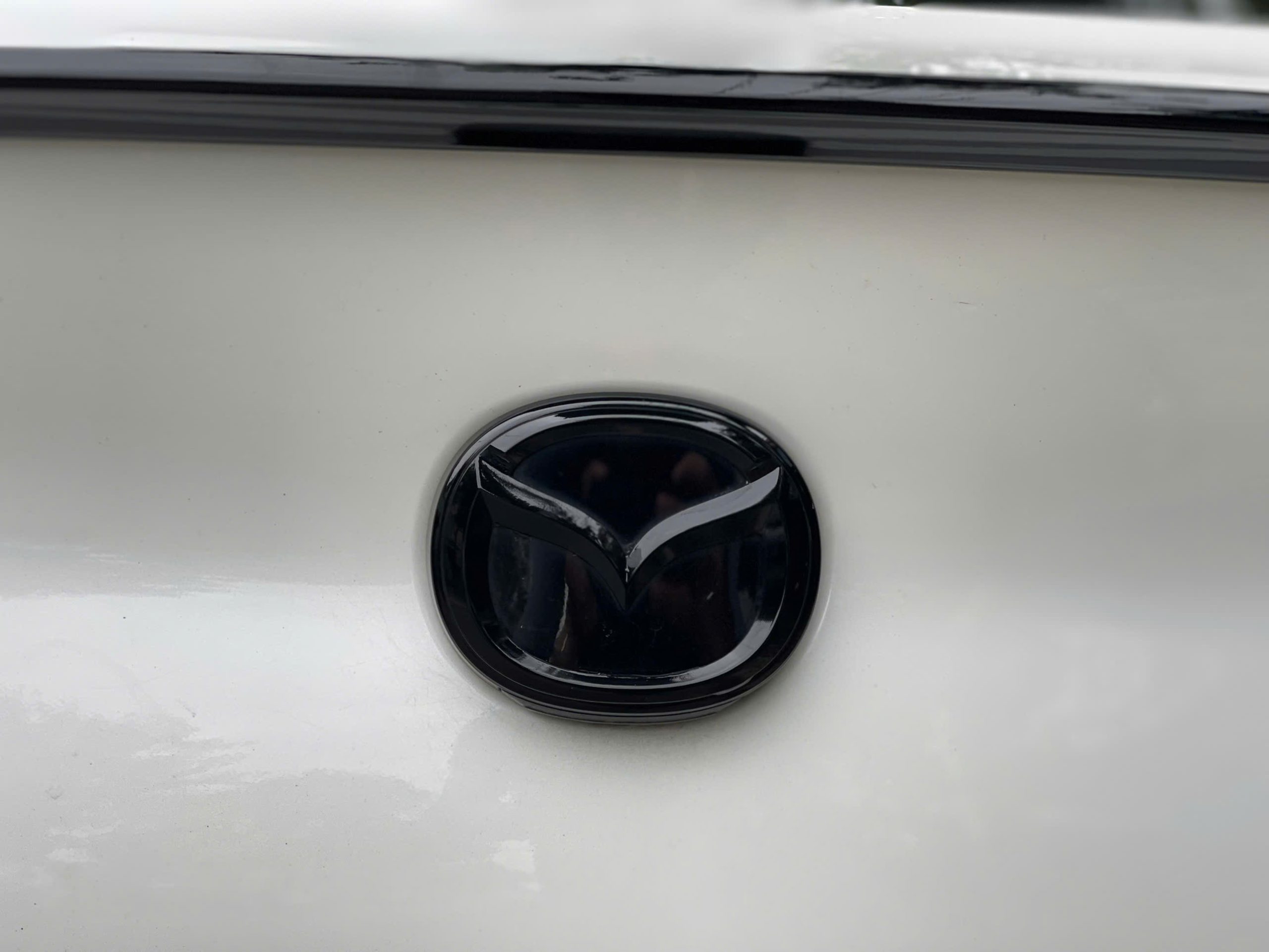 Z6147128238392 Ce1273683aedf6ad3bc58e021918795c