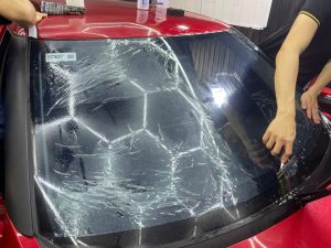 Z6411526371673 226cfa59cd6a4272997134a69ea156fd