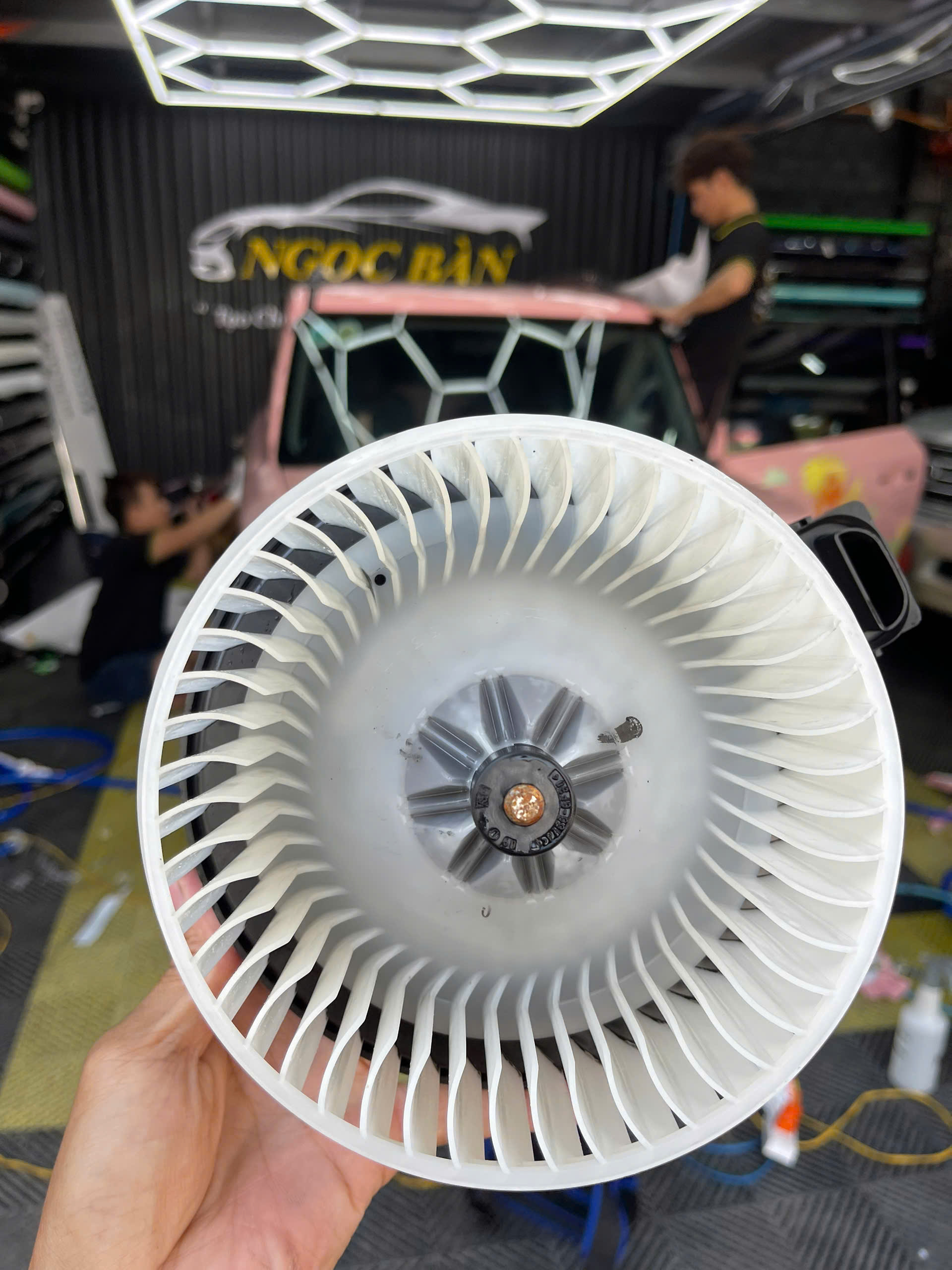 Z6411575096165 0176685d651f703215ac42dee824b6a5