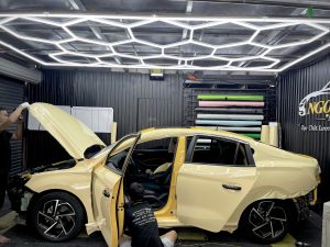 6aa5bf02 5290 49e1 9a87 A12b19ad3470