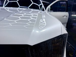 383950043717564120242