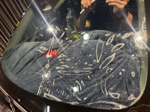 40126772241588608237