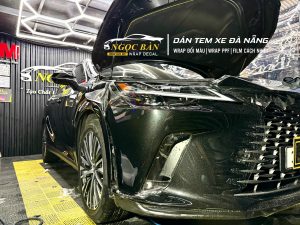 Z7447944328279 7403feb17c42bf368333891a5410bcfb